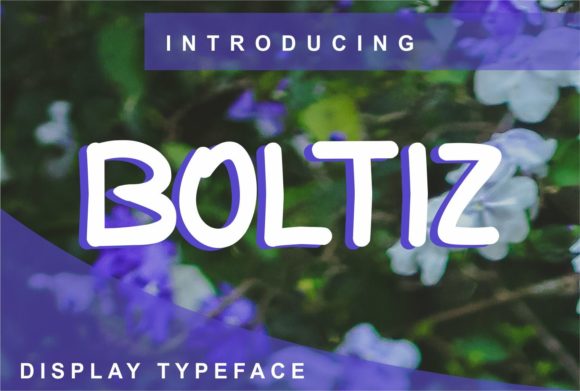 Boltiz: A Font That Elevates Your Brand